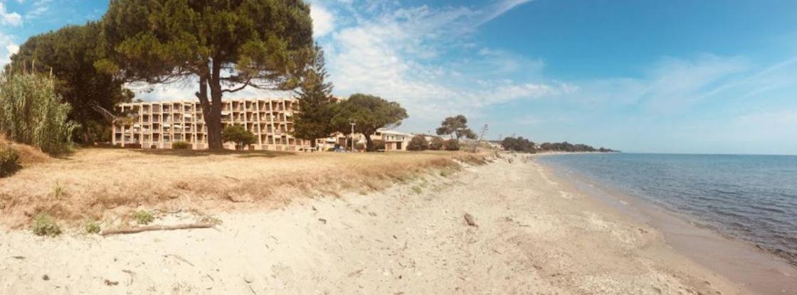 Studio Bord De Mer - Piscine - Plage San-Nicolao Exteriör bild